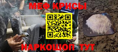 шишки Обь
