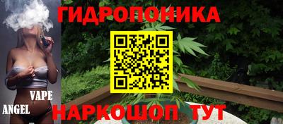 шишки Обь