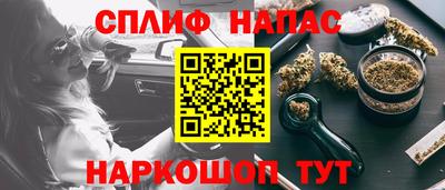 шишки Обь