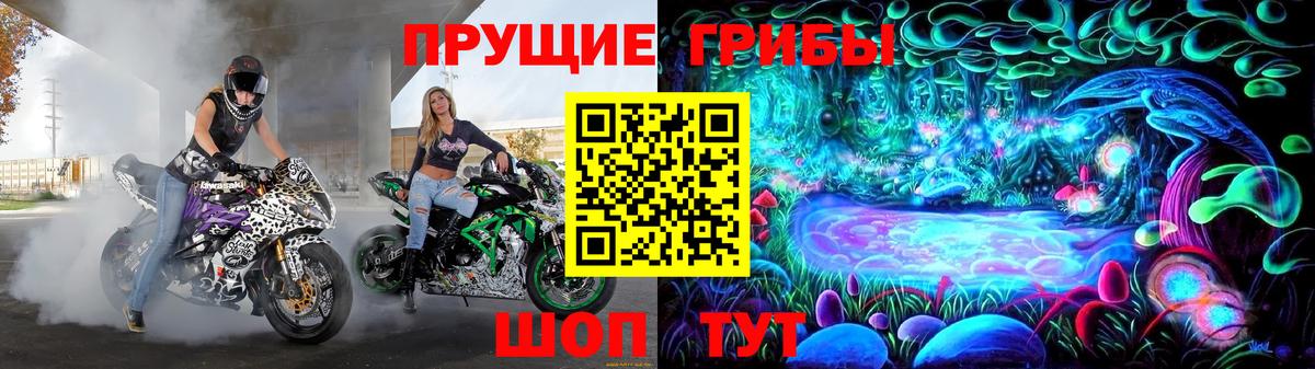 Семилуки  Псилоцибиновые грибы Psilocybine cubensis  Вход с VPN 